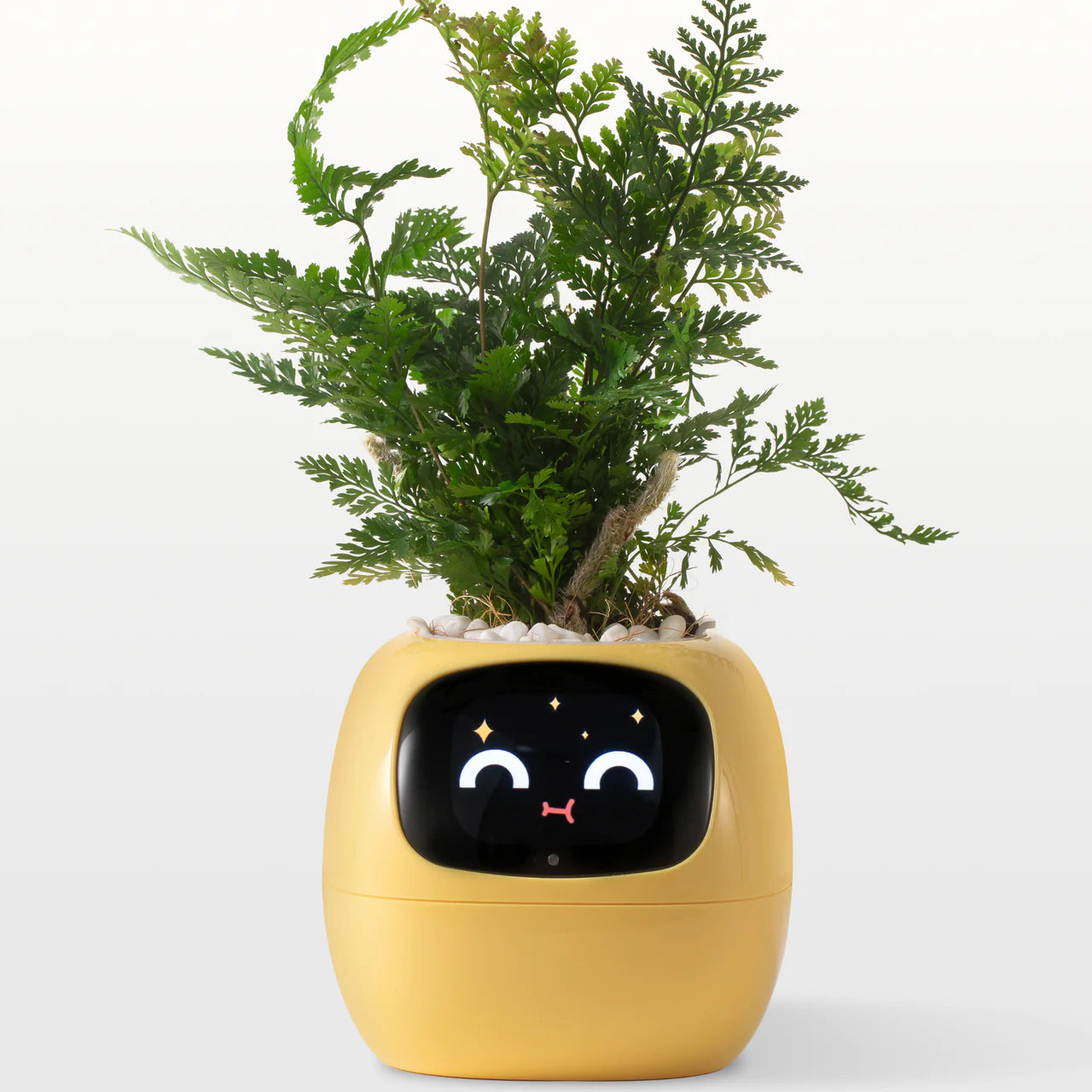 Tuya Ivy Smart Planter – AI-Powered Smart Plant with 49 Expressions