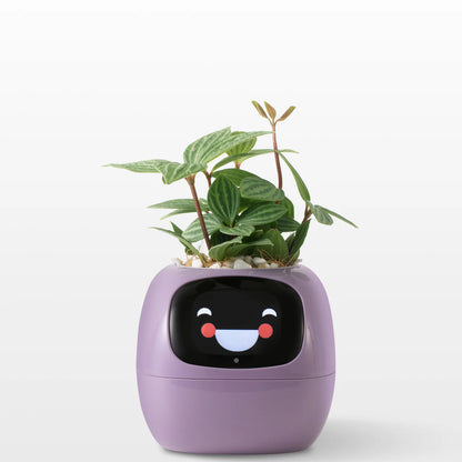 Tuya Ivy Smart Planter – AI-Powered Smart Plant with 49 Expressions