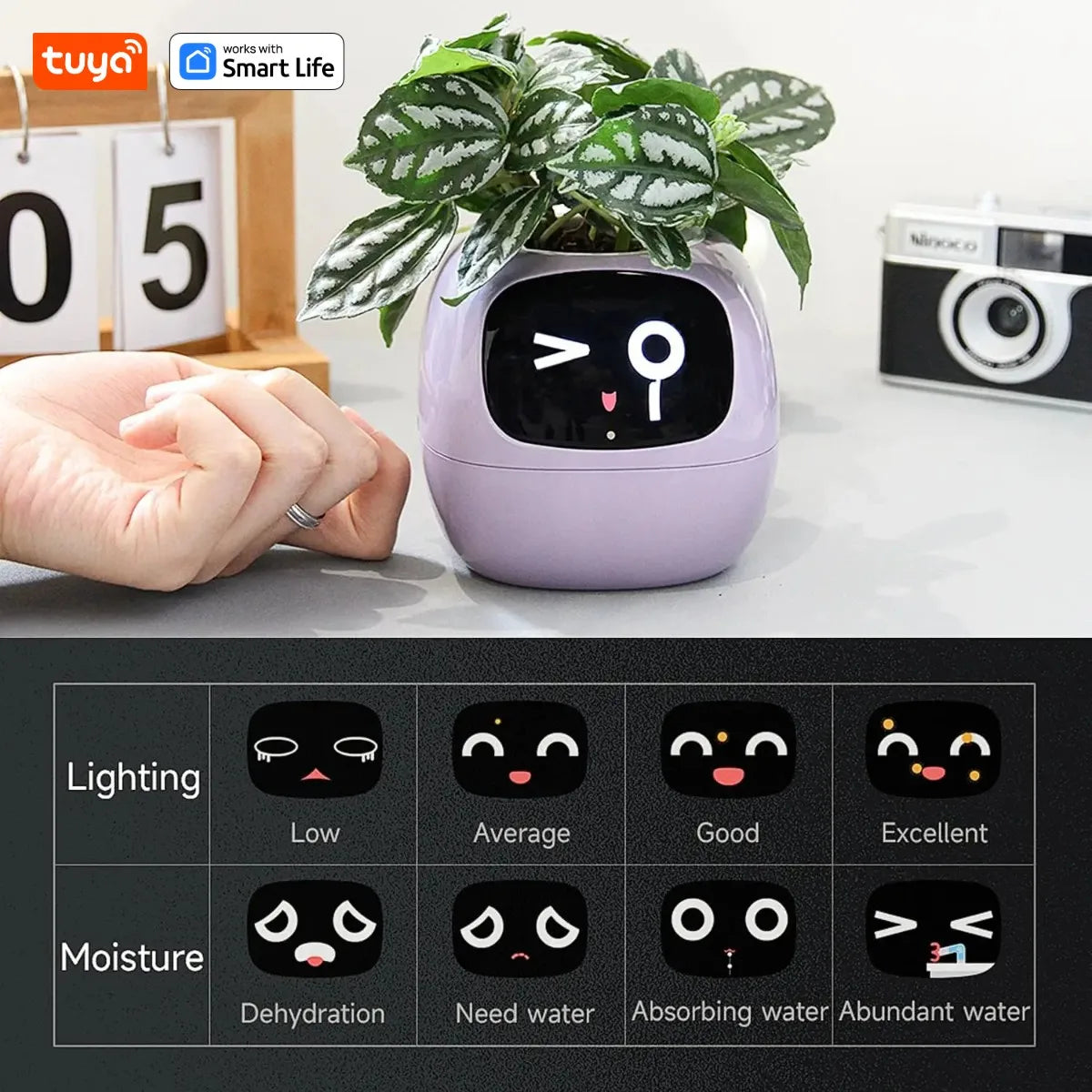 Tuya Ivy Smart Planter – AI-Powered Smart Plant with 49 Expressions